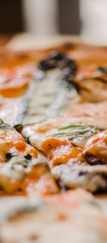 мега пицца от мега суши с доставкой на дом <span style="font-weight: bold;">МегаПицца</span>